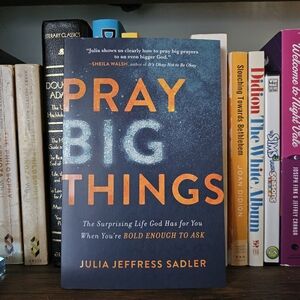 Pray Big Things Book by Julia Jeffress Sadler (paperback)